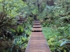 Hot Springs Cove