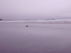 Long Beach
