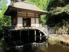 Best view, Japanese pavilion