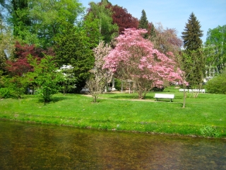 Spring Trees, Baden-Baden